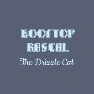 Rooftop Rascal: The Drizzle Cat