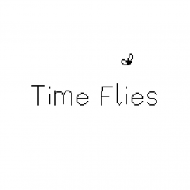 Time Flies PS5