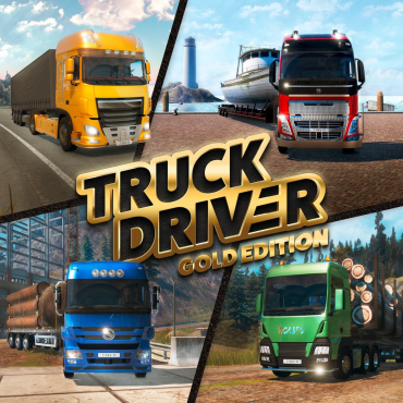 Truck Driver PS5