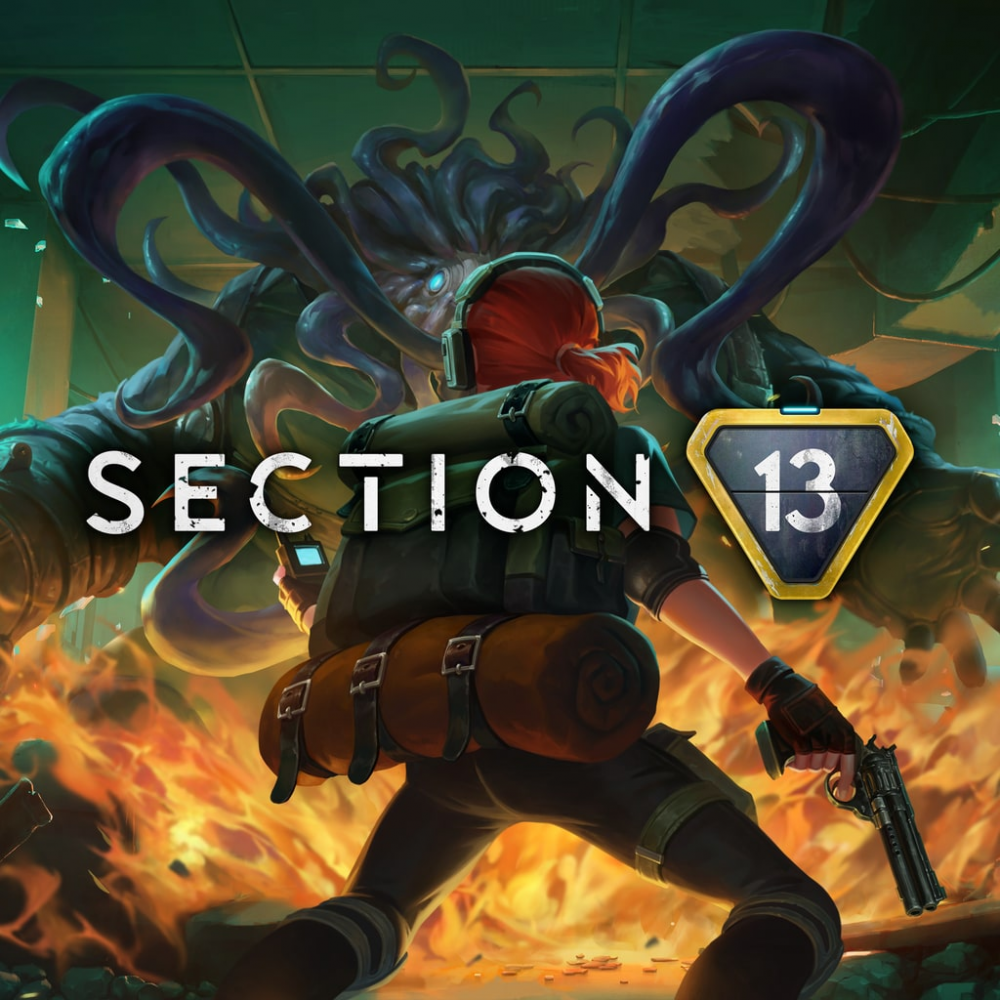 Section 13 PS5 Section 13 PS5