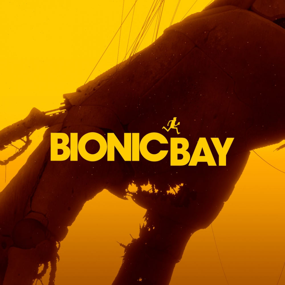 Bionic Bay PS5 Bionic Bay PS5