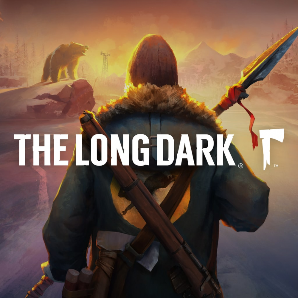 The Long Dark PS4 & PS5