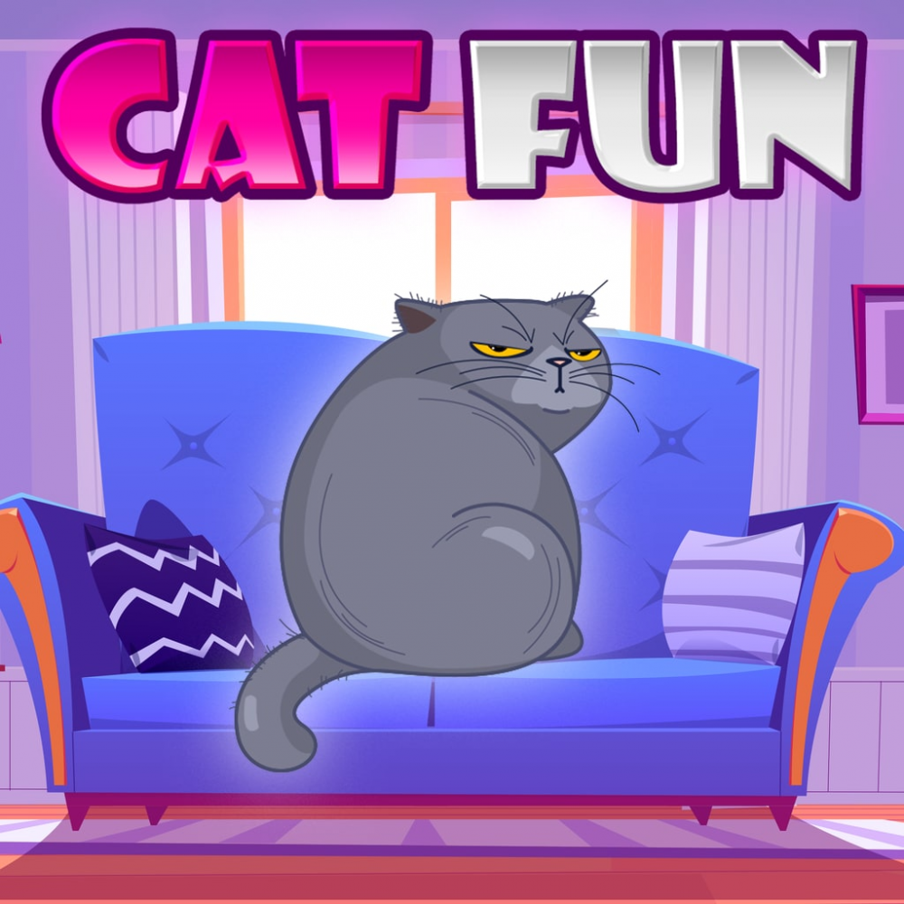 Cat Fun Cat Fun