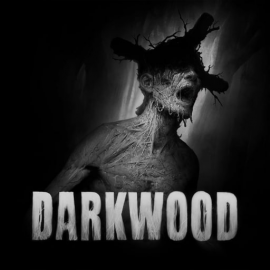Darkwood PS5