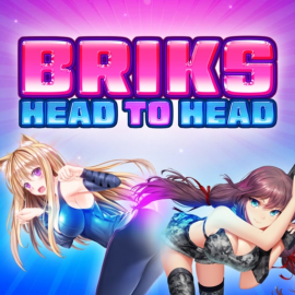 BRIKS HEAD TO HEAD