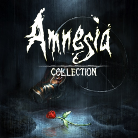 Amnesia: Collection